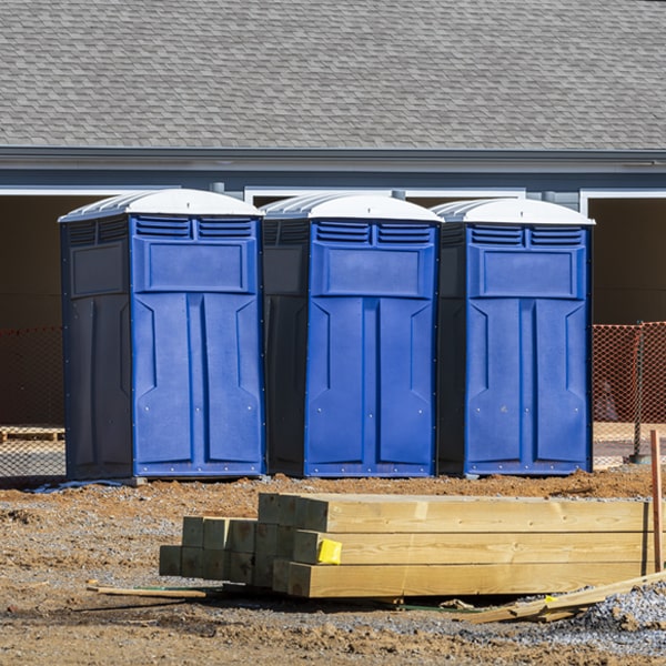 are there different sizes of porta potties available for rent in Tribes Hill